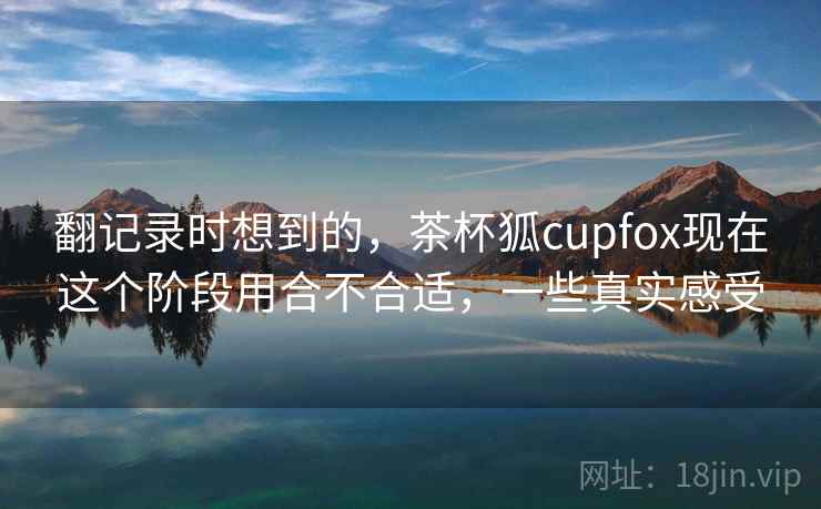 翻记录时想到的,茶杯狐cupfox现在这个阶段用合不合适,一些真实感受 第2张 翻记录时想到的,茶杯狐cupfox现在这个阶段用合不合适,一些真实感受 第2张