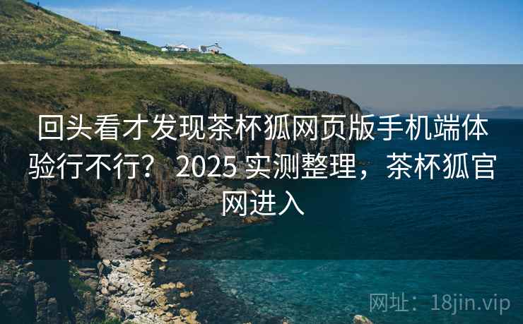 回头看才发现茶杯狐网页版手机端体验行不行？ 2025 实测整理，茶杯狐官网进入  第2张