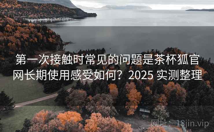 第一次接触时常见的问题是茶杯狐官网长期使用感受如何？2025 实测整理  第2张