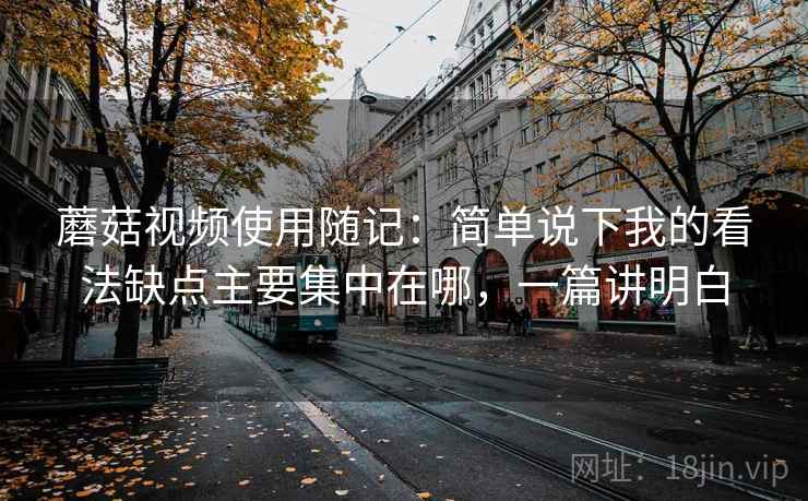 蘑菇视频使用随记：简单说下我的看法缺点主要集中在哪，一篇讲明白