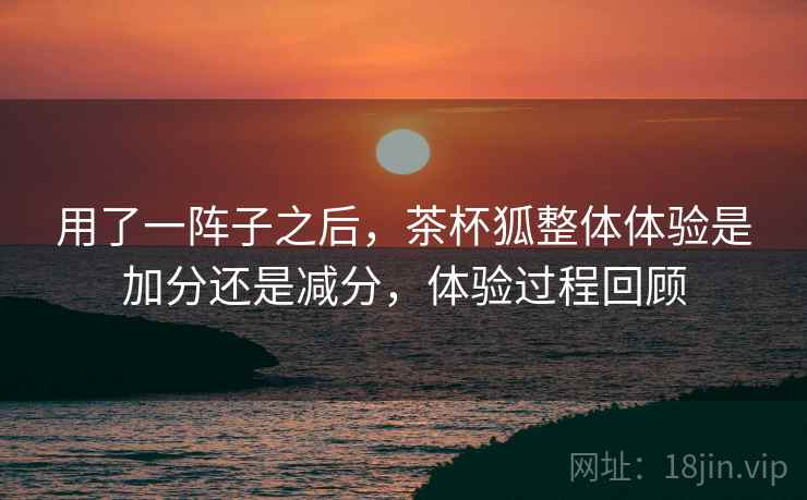 用了一阵子之后，茶杯狐整体体验是加分还是减分，体验过程回顾