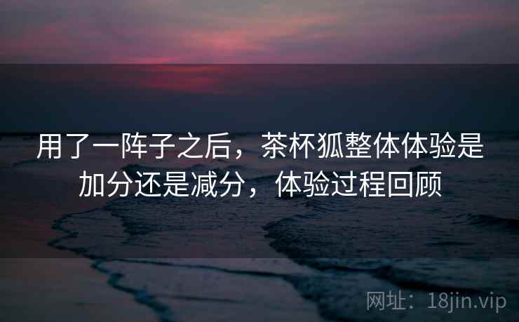 用了一阵子之后,茶杯狐整体体验是加分还是减分,体验过程回顾 第2张 用了一阵子之后,茶杯狐整体体验是加分还是减分,体验过程回顾 第2张