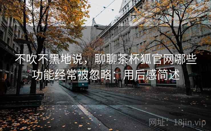 不吹不黑地说，聊聊茶杯狐官网哪些功能经常被忽略：用后感简述